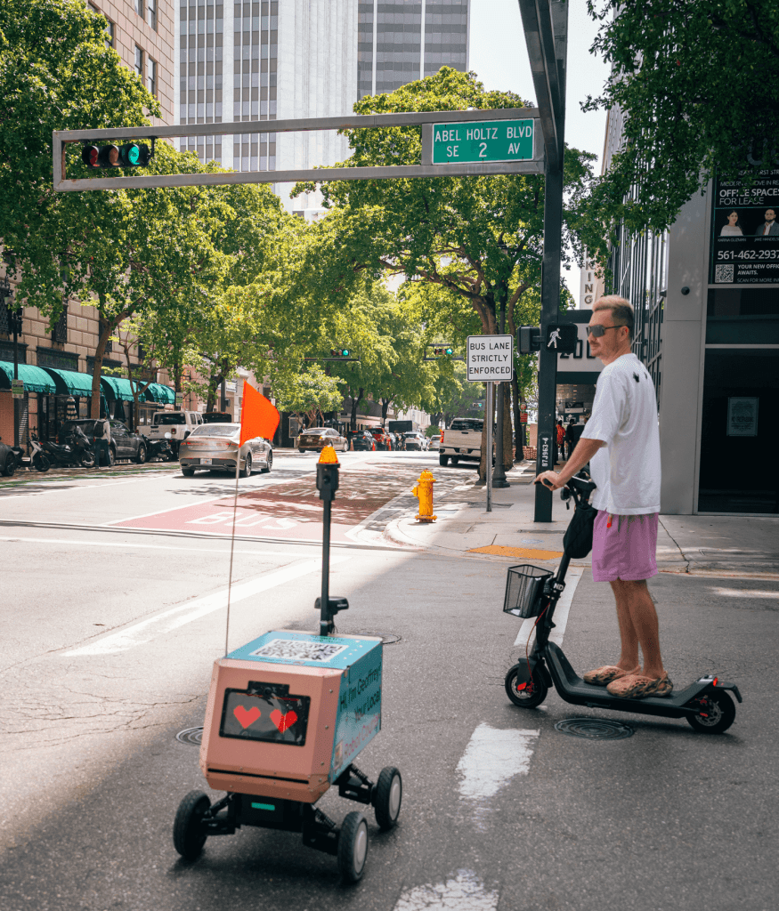 street-safety-robot