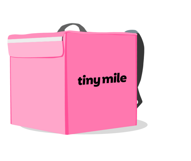 a pink tiny mile courier bag